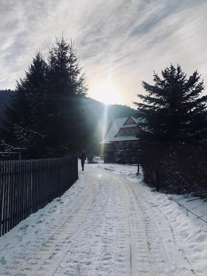 Giewont Mountain View Apartment Ζακοπάνε Εξωτερικό φωτογραφία